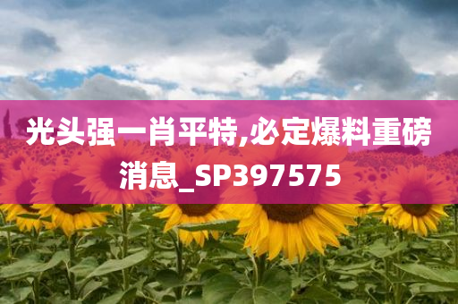 光头强一肖平特,必定爆料重磅消息_SP397575