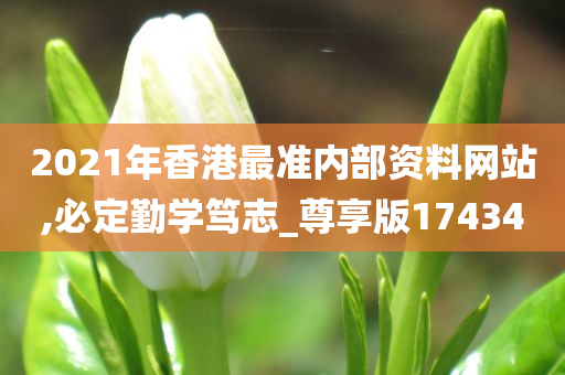 2021年香港最准内部资料网站,必定勤学笃志_尊享版174340