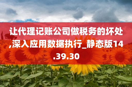 让代理记账公司做税务的坏处,深入应用数据执行_静态版14.39.30