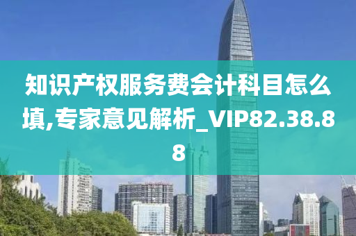 知识产权服务费会计科目怎么填,专家意见解析_VIP82.38.88