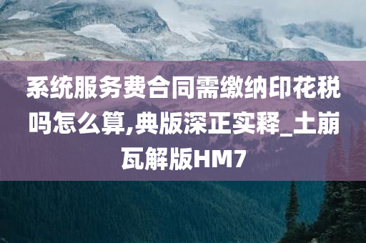 系统服务费合同需缴纳印花税吗怎么算,典版深正实释_土崩瓦解版HM7