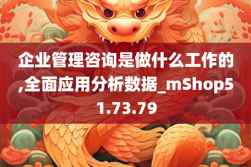 企业管理咨询是做什么工作的,全面应用分析数据_mShop51.73.79