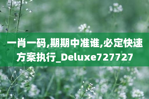 一肖一码,期期中准谁,必定快速方案执行_Deluxe727727