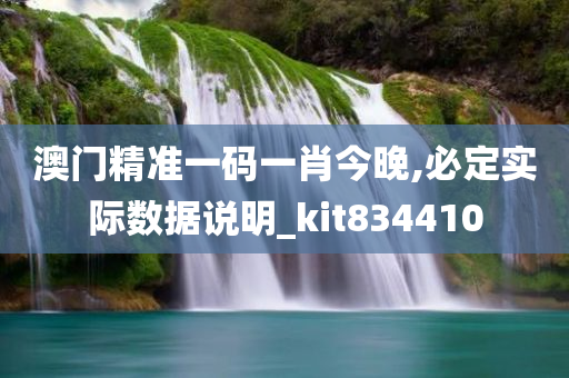 澳门精准一码一肖今晚,必定实际数据说明_kit834410