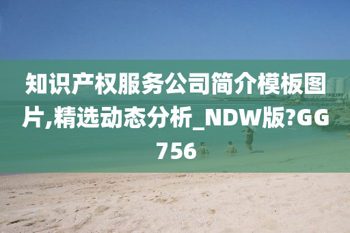 知识产权服务公司简介模板图片,精选动态分析_NDW版?GG756