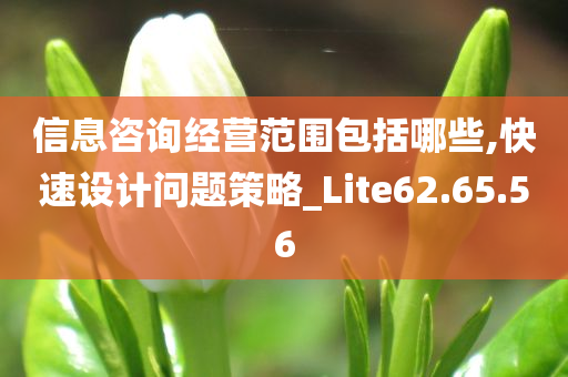 信息咨询经营范围包括哪些,快速设计问题策略_Lite62.65.56