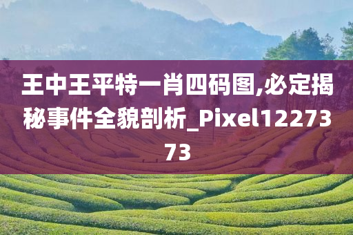 王中王平特一肖四码图,必定揭秘事件全貌剖析_Pixel1227373