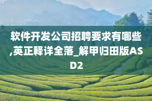 软件开发公司招聘要求有哪些,英正释详全落_解甲归田版ASD2