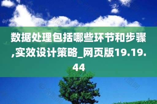 数据处理包括哪些环节和步骤,实效设计策略_网页版19.19.44