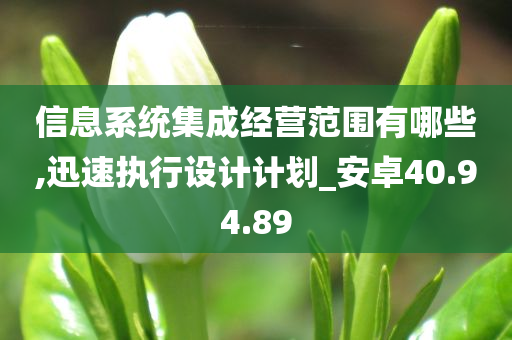 信息系统集成经营范围有哪些,迅速执行设计计划_安卓40.94.89