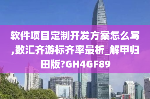 软件项目定制开发方案怎么写,数汇齐游标齐率最析_解甲归田版?GH4GF89