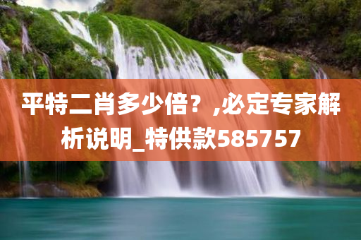 平特二肖多少倍？,必定专家解析说明_特供款585757