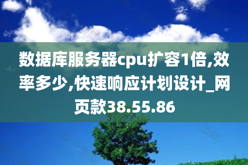 数据库服务器cpu扩容1倍,效率多少,快速响应计划设计_网页款38.55.86