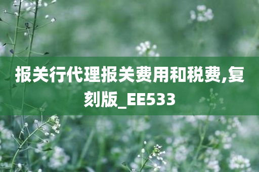 报关行代理报关费用和税费,复刻版_EE533