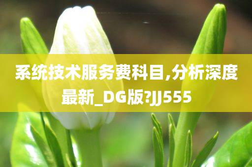 系统技术服务费科目,分析深度最新_DG版?JJ555