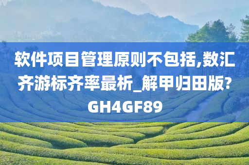 软件项目管理原则不包括,数汇齐游标齐率最析_解甲归田版?GH4GF89