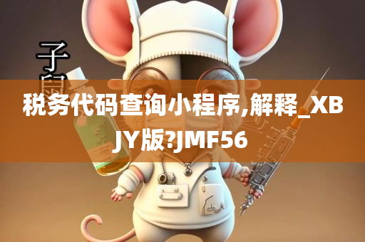 税务代码查询小程序,解释_XBJY版?JMF56