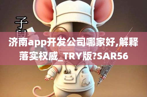 济南app开发公司哪家好,解释落实权威_TRY版?SAR56