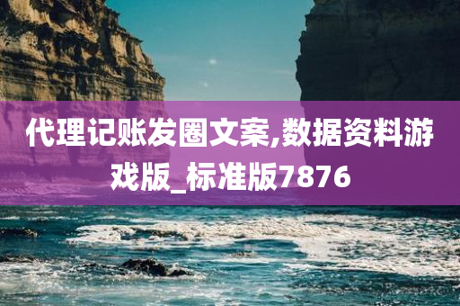 代理记账发圈文案,数据资料游戏版_标准版7876