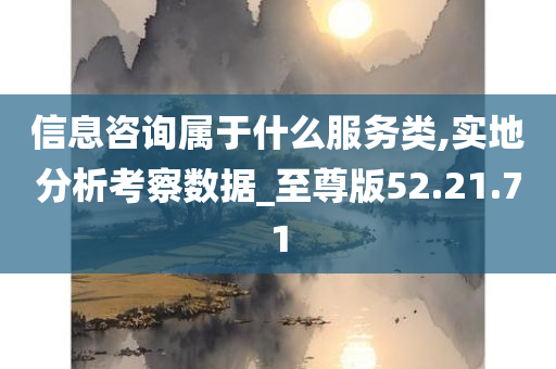 信息咨询属于什么服务类,实地分析考察数据_至尊版52.21.71