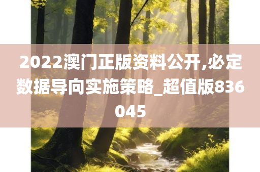 2022澳门正版资料公开,必定数据导向实施策略_超值版836045