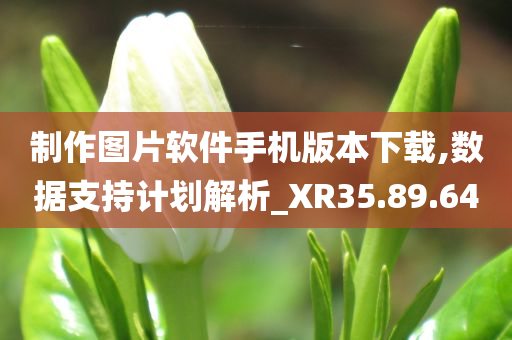 制作图片软件手机版本下载,数据支持计划解析_XR35.89.64