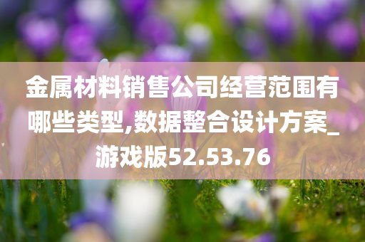 金属材料销售公司经营范围有哪些类型,数据整合设计方案_游戏版52.53.76