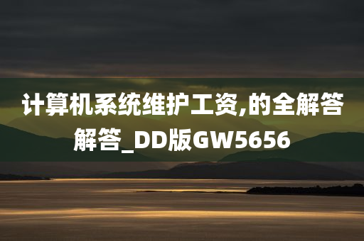 计算机系统维护工资,的全解答解答_DD版GW5656