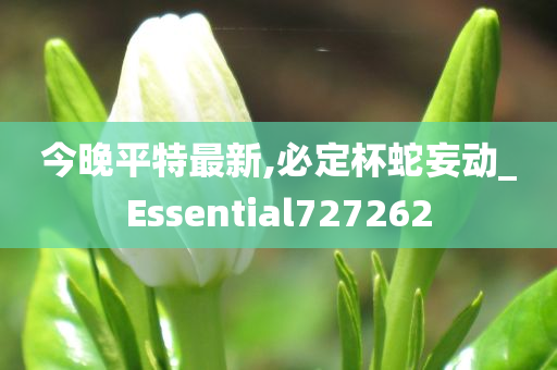 今晚平特最新,必定杯蛇妄动_Essential727262