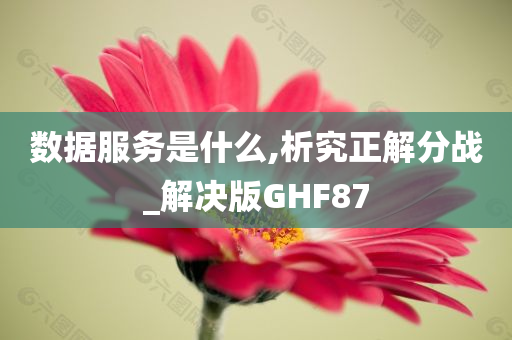 数据服务是什么,析究正解分战_解决版GHF87