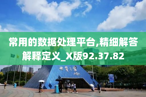 常用的数据处理平台,精细解答解释定义_X版92.37.82