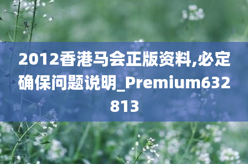 2012香港马会正版资料,必定确保问题说明_Premium632813