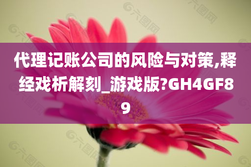 代理记账公司的风险与对策,释经戏析解刻_游戏版?GH4GF89