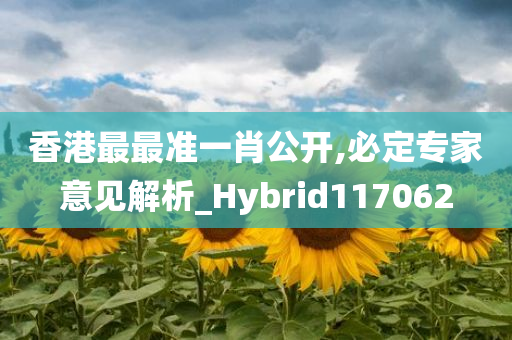 香港最最准一肖公开,必定专家意见解析_Hybrid117062