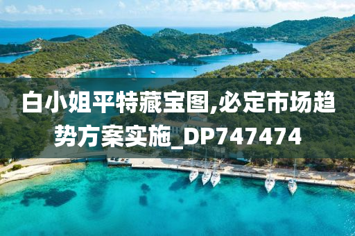 白小姐平特藏宝图,必定市场趋势方案实施_DP747474