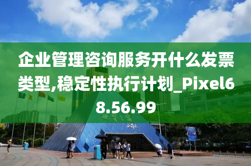 企业管理咨询服务开什么发票类型,稳定性执行计划_Pixel68.56.99