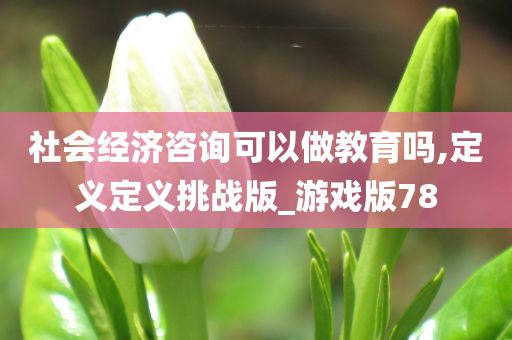 社会经济咨询可以做教育吗,定义定义挑战版_游戏版78