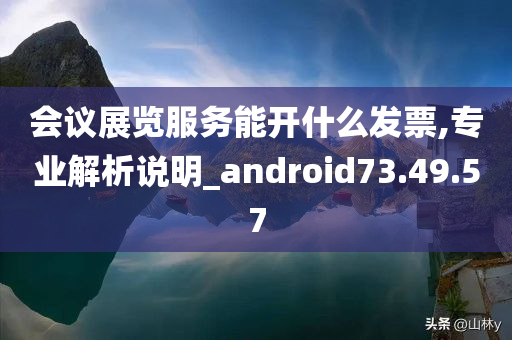 会议展览服务能开什么发票,专业解析说明_android73.49.57