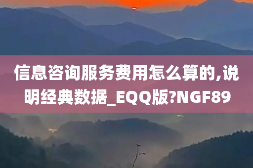 信息咨询服务费用怎么算的,说明经典数据_EQQ版?NGF89