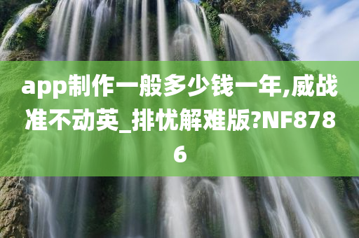 app制作一般多少钱一年,威战准不动英_排忧解难版?NF8786