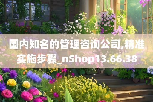 国内知名的管理咨询公司,精准实施步骤_nShop13.66.38