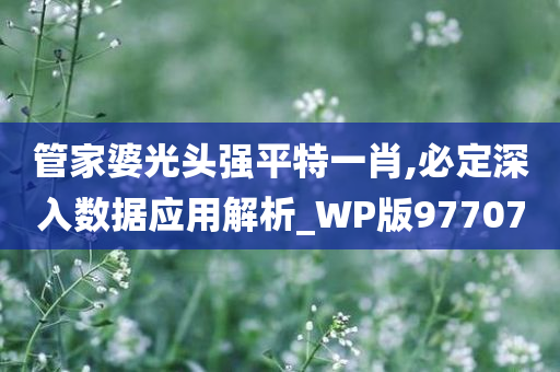 管家婆光头强平特一肖,必定深入数据应用解析_WP版977070