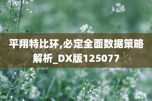 平翔特比环,必定全面数据策略解析_DX版125077