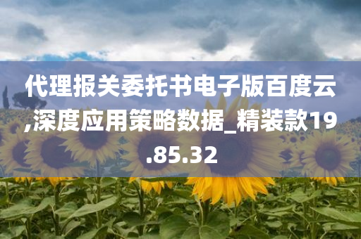 代理报关委托书电子版百度云,深度应用策略数据_精装款19.85.32