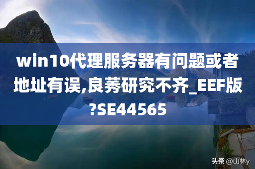 win10代理服务器有问题或者地址有误,良莠研究不齐_EEF版?SE44565