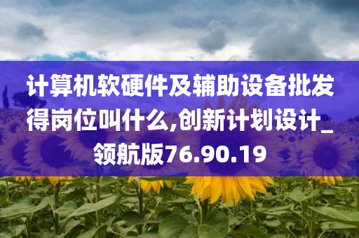 计算机软硬件及辅助设备批发得岗位叫什么,创新计划设计_领航版76.90.19