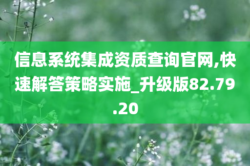 信息系统集成资质查询官网,快速解答策略实施_升级版82.79.20