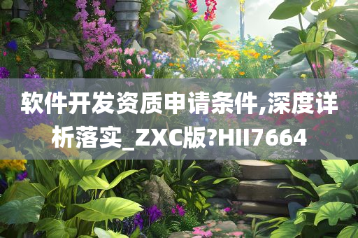 软件开发资质申请条件,深度详析落实_ZXC版?HII7664