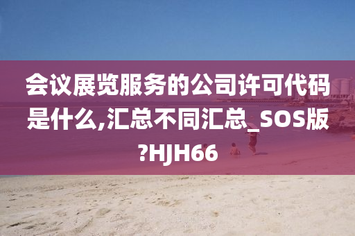 会议展览服务的公司许可代码是什么,汇总不同汇总_SOS版?HJH66