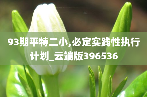 93期平特二小,必定实践性执行计划_云端版396536